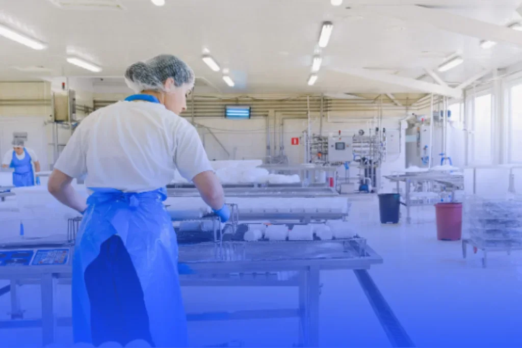 woman in manufacturing line
